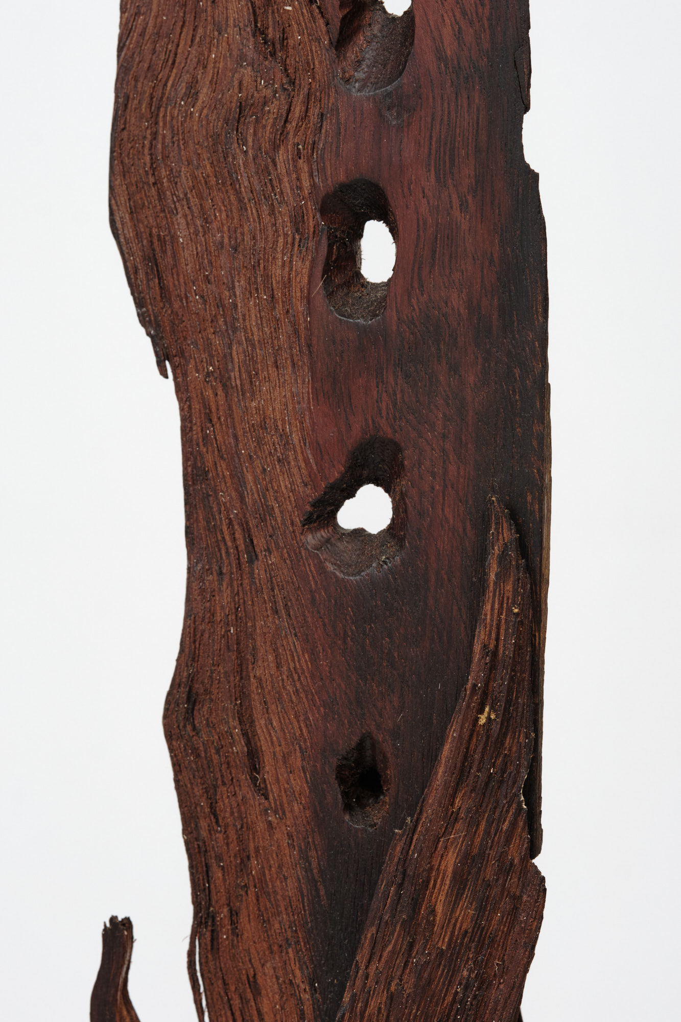 Michael Roderick Wedderburn Sculpture